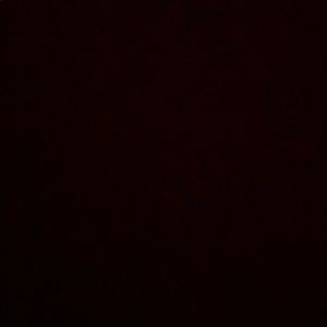 Meet your Posher, Reginald